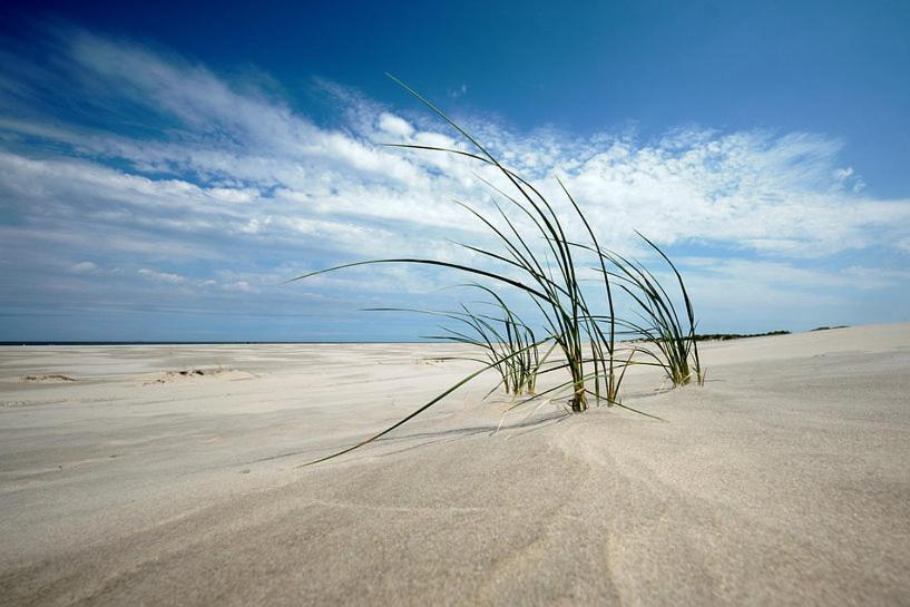 Hotel Brasserie Brakzand Schiermonnikoog Zewnętrze zdjęcie