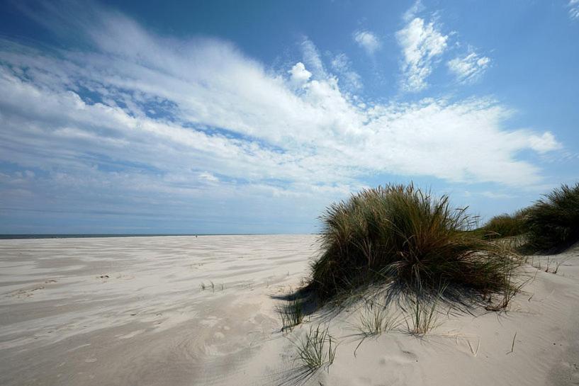 Hotel Brasserie Brakzand Schiermonnikoog Zewnętrze zdjęcie
